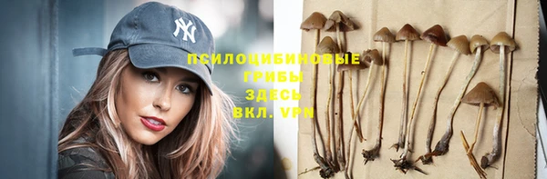 мескалин Бородино