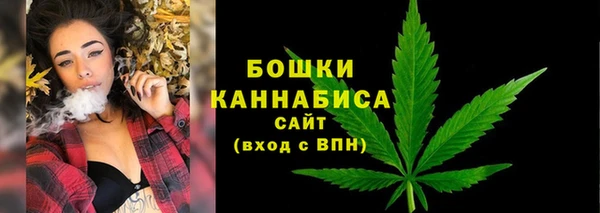 mix Белокуриха