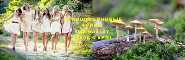 мескалин Бородино