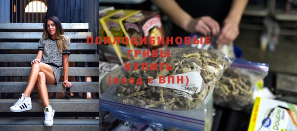 гидра Верея