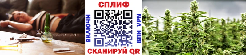 Конопля марихуана Духовщина